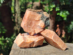 Natural Rhombohedral Sunset Orange Calcite Specimens x 12 From Spitzkop, Namibia - Toprock Gemstones and Minerals 