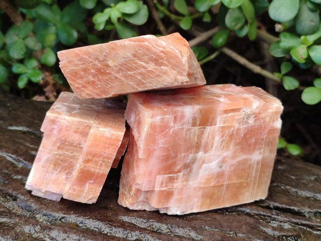Natural Rhombohedral Sunset Orange Calcite Specimens x 12 From Spitzkop, Namibia - Toprock Gemstones and Minerals 