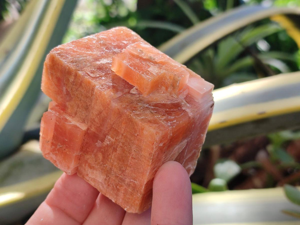 Natural Rhombohedral Sunset Orange Calcite Specimens x 12 From Spitzkop, Namibia - Toprock Gemstones and Minerals 