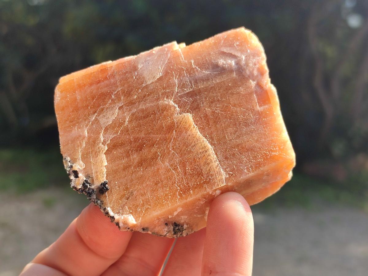 Natural Rhombohedral Sunset Orange Calcite Specimens x 12 From Spitzkop, Namibia - Toprock Gemstones and Minerals 