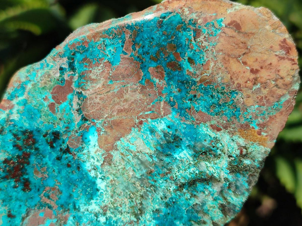 Polished One Side Shattuckite Slices x 6 From Kaokoveld, Namibia - Toprock Gemstones and Minerals 