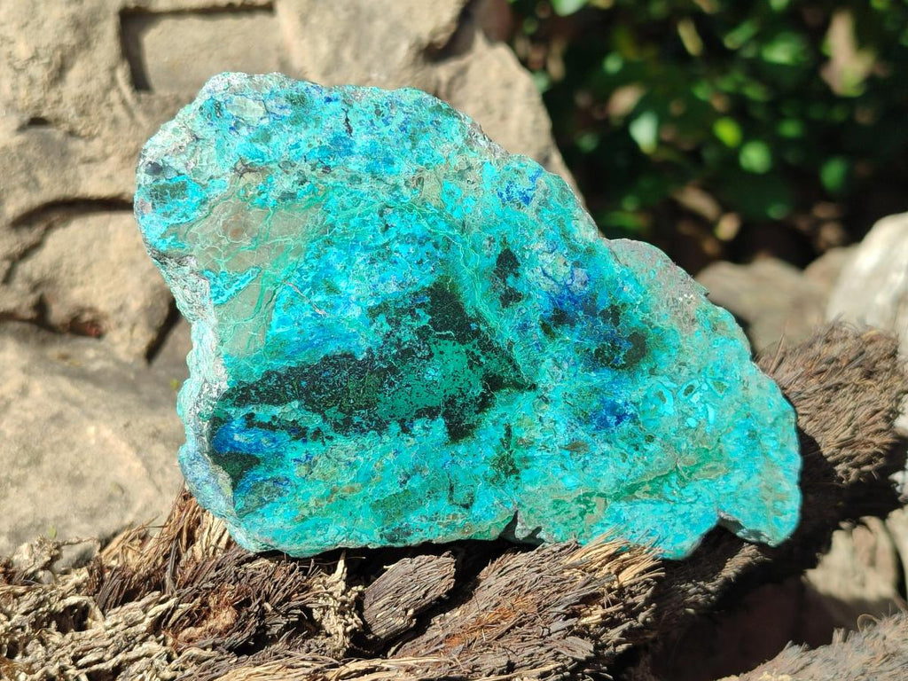 Polished One Side Shattuckite Slices x 6 From Kaokoveld, Namibia - Toprock Gemstones and Minerals 