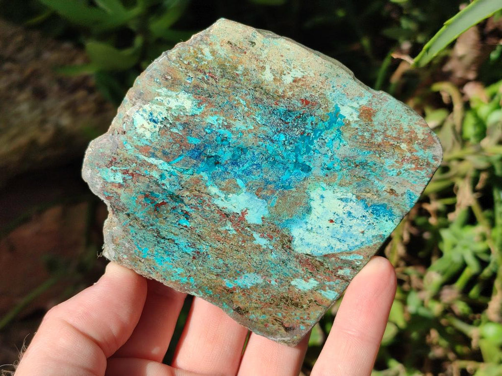 Polished One Side Shattuckite Slices x 6 From Kaokoveld, Namibia - Toprock Gemstones and Minerals 