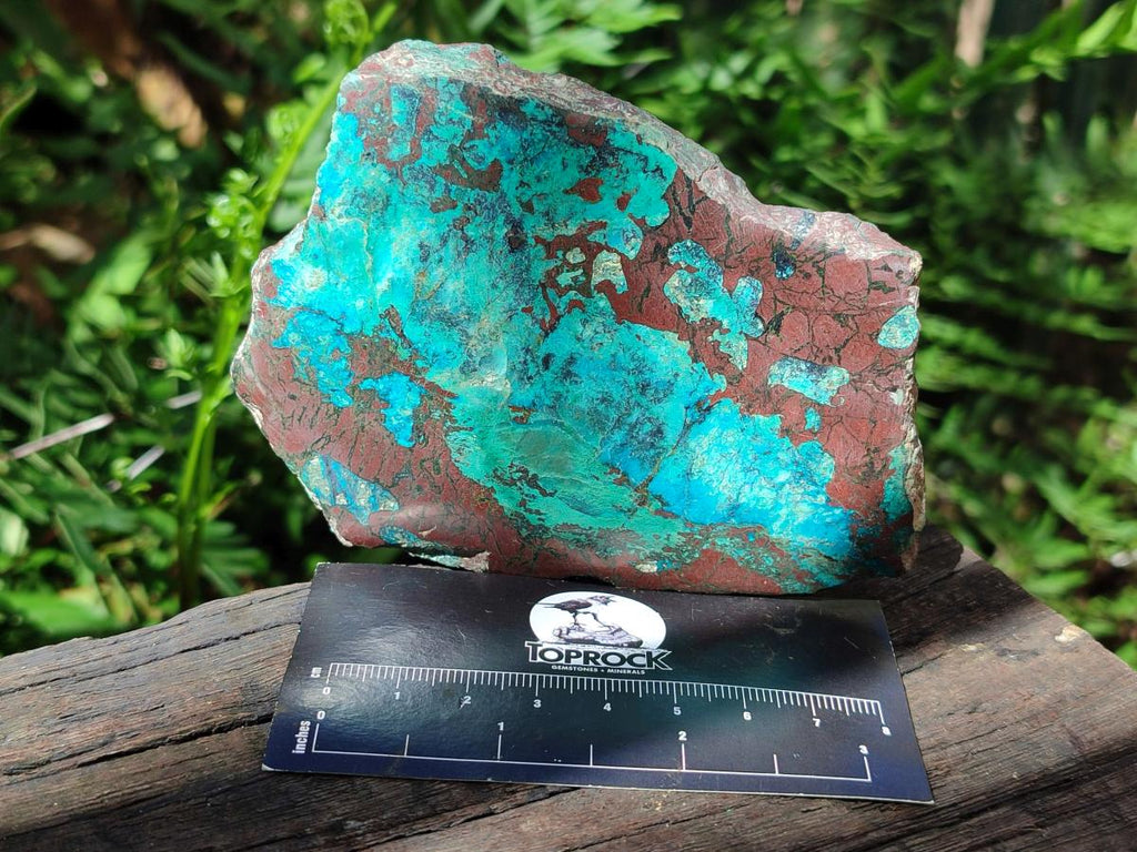 Polished One Side Shattuckite Slices x 6 From Kaokoveld, Namibia - Toprock Gemstones and Minerals 