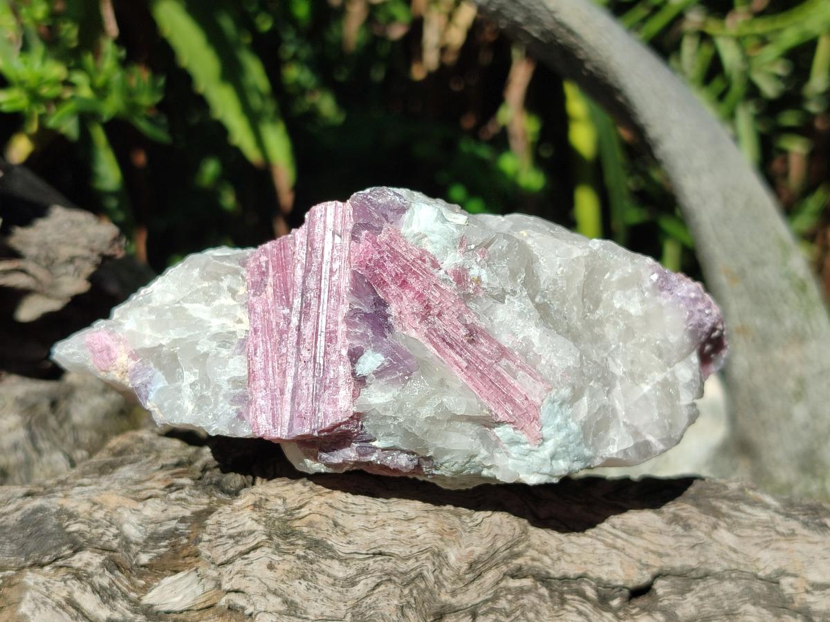Natural Pink Rubellite Tourmaline Specimens x 3 From Karibib, Namibia - Toprock Gemstones and Minerals 