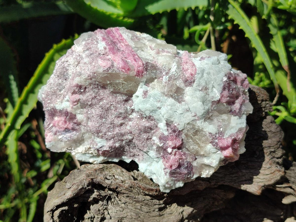 Natural Pink Rubellite Tourmaline Specimens x 3 From Karibib, Namibia - Toprock Gemstones and Minerals 