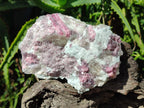 Natural Pink Rubellite Tourmaline Specimens x 3 From Karibib, Namibia - Toprock Gemstones and Minerals 