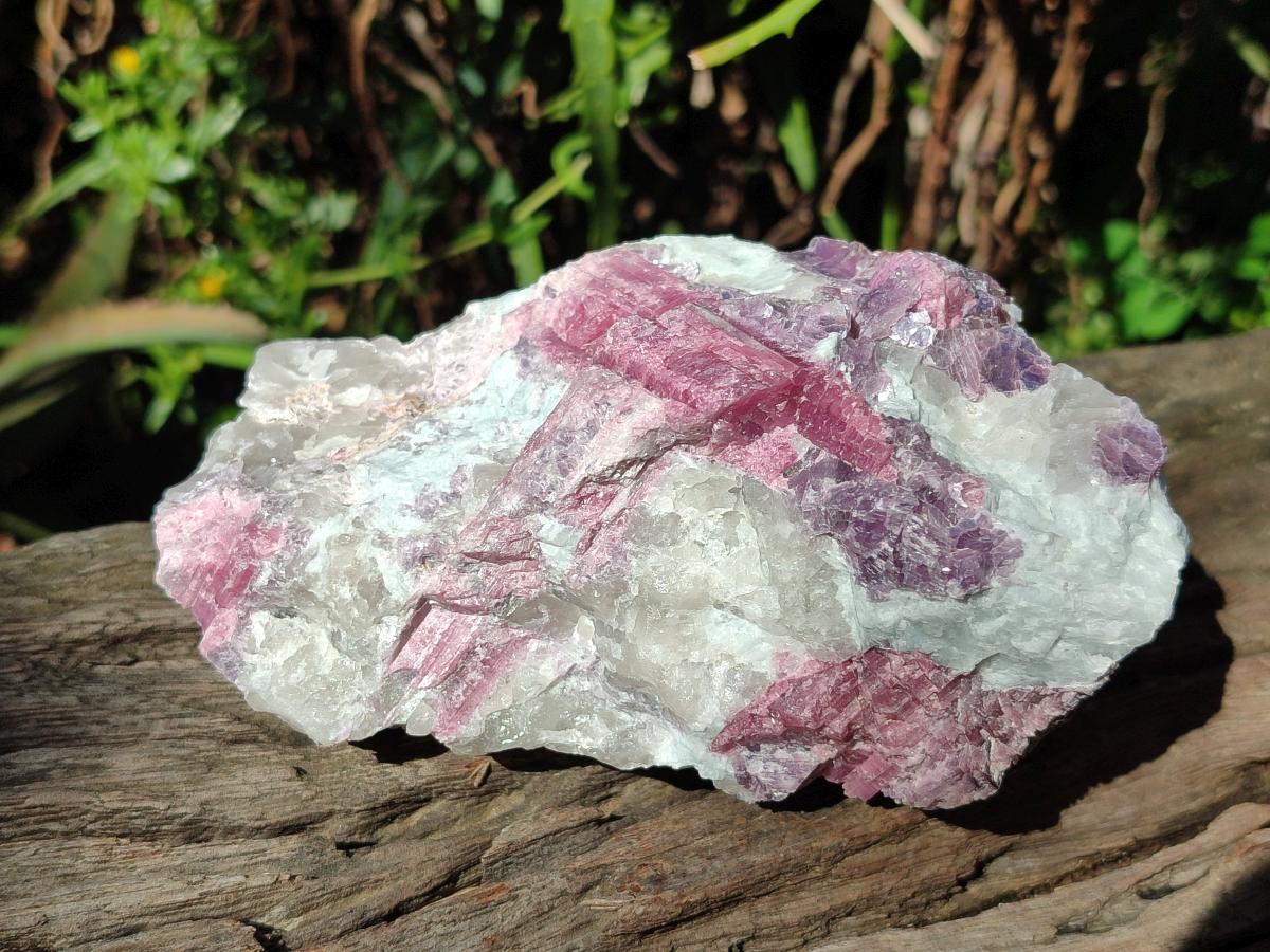 Natural Pink Rubellite Tourmaline Specimens x 3 From Karibib, Namibia - Toprock Gemstones and Minerals 