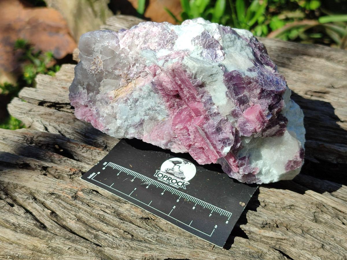 Natural Pink Rubellite Tourmaline Specimens x 3 From Karibib, Namibia - Toprock Gemstones and Minerals 