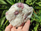Natural Pink Rubellite Tourmaline Specimens x 3 From Karibib, Namibia - Toprock Gemstones and Minerals 