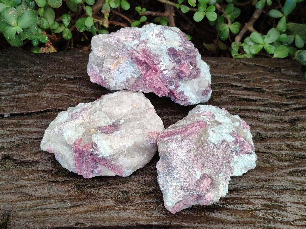 Natural Pink Rubellite Tourmaline Specimens x 3 From Karibib, Namibia - Toprock Gemstones and Minerals 