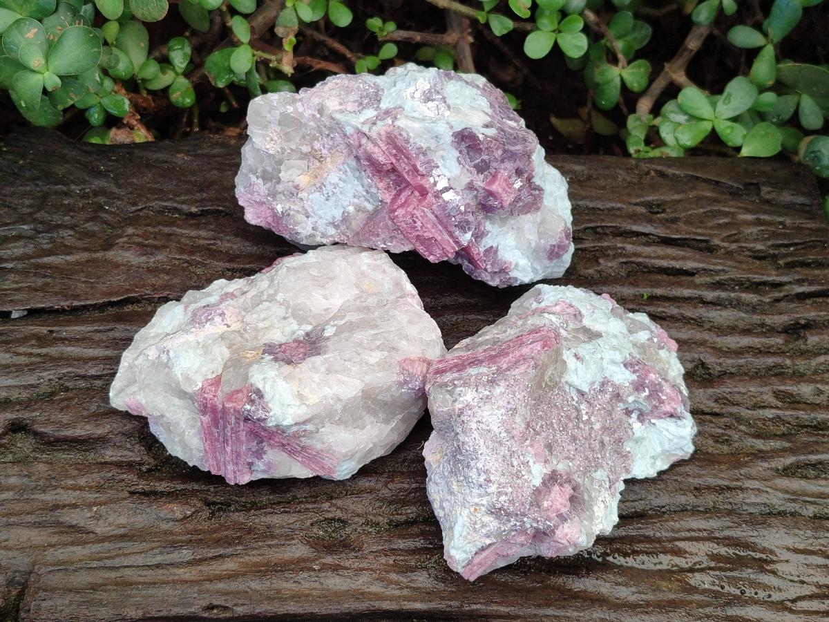 Natural Pink Rubellite Tourmaline Specimens x 3 From Karibib, Namibia - Toprock Gemstones and Minerals 