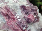 Natural Pink Rubellite Tourmaline Specimens x 3 From Karibib, Namibia - Toprock Gemstones and Minerals 