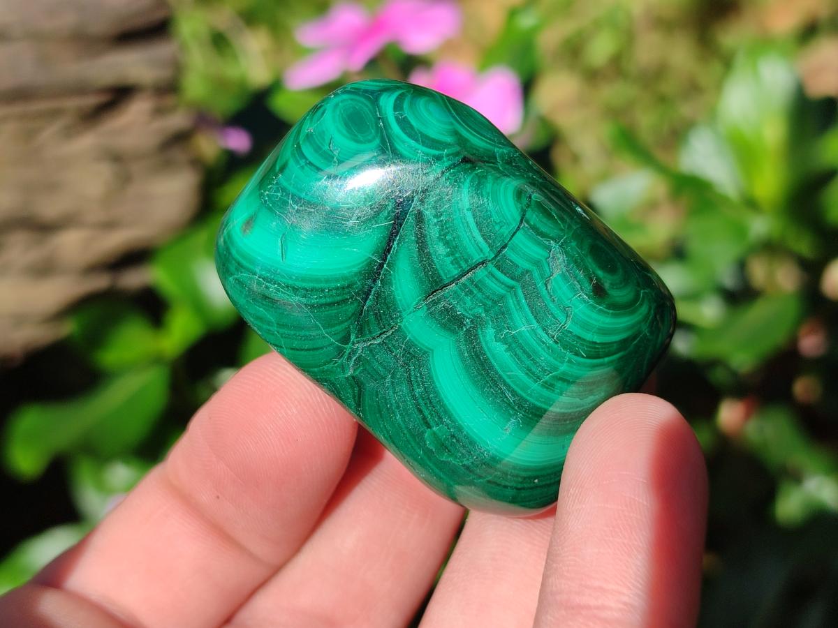Polished Flower Banded Malachite Free Forms x 20 From Congo - Toprock Gemstones and Minerals 