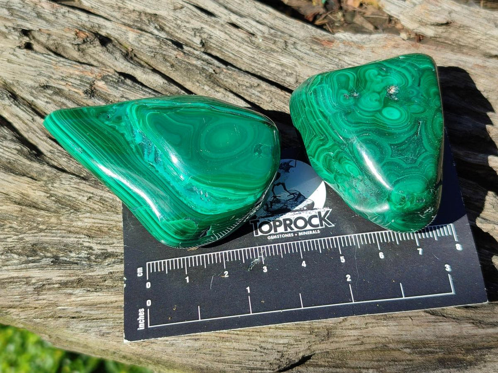 Polished Flower Banded Malachite Free Forms x 20 From Congo - Toprock Gemstones and Minerals 