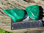 Polished Flower Banded Malachite Free Forms x 20 From Congo - Toprock Gemstones and Minerals 
