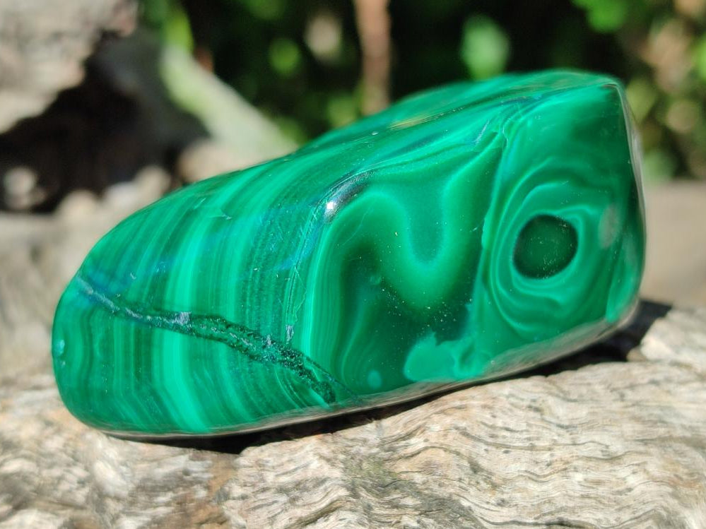 Polished Flower Banded Malachite Free Forms x 20 From Congo - Toprock Gemstones and Minerals 