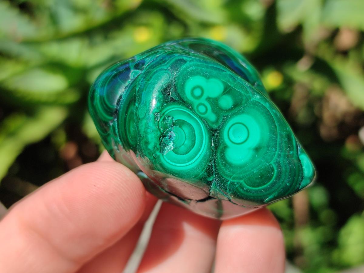 Polished Flower Banded Malachite Free Forms x 20 From Congo - Toprock Gemstones and Minerals 