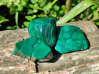 Polished Flower Banded Malachite Free Forms x 20 From Congo - Toprock Gemstones and Minerals 