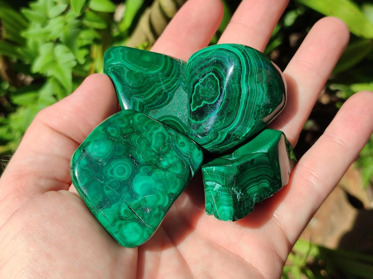 Polished Flower Banded Malachite Free Forms x 20 From Congo - Toprock Gemstones and Minerals 