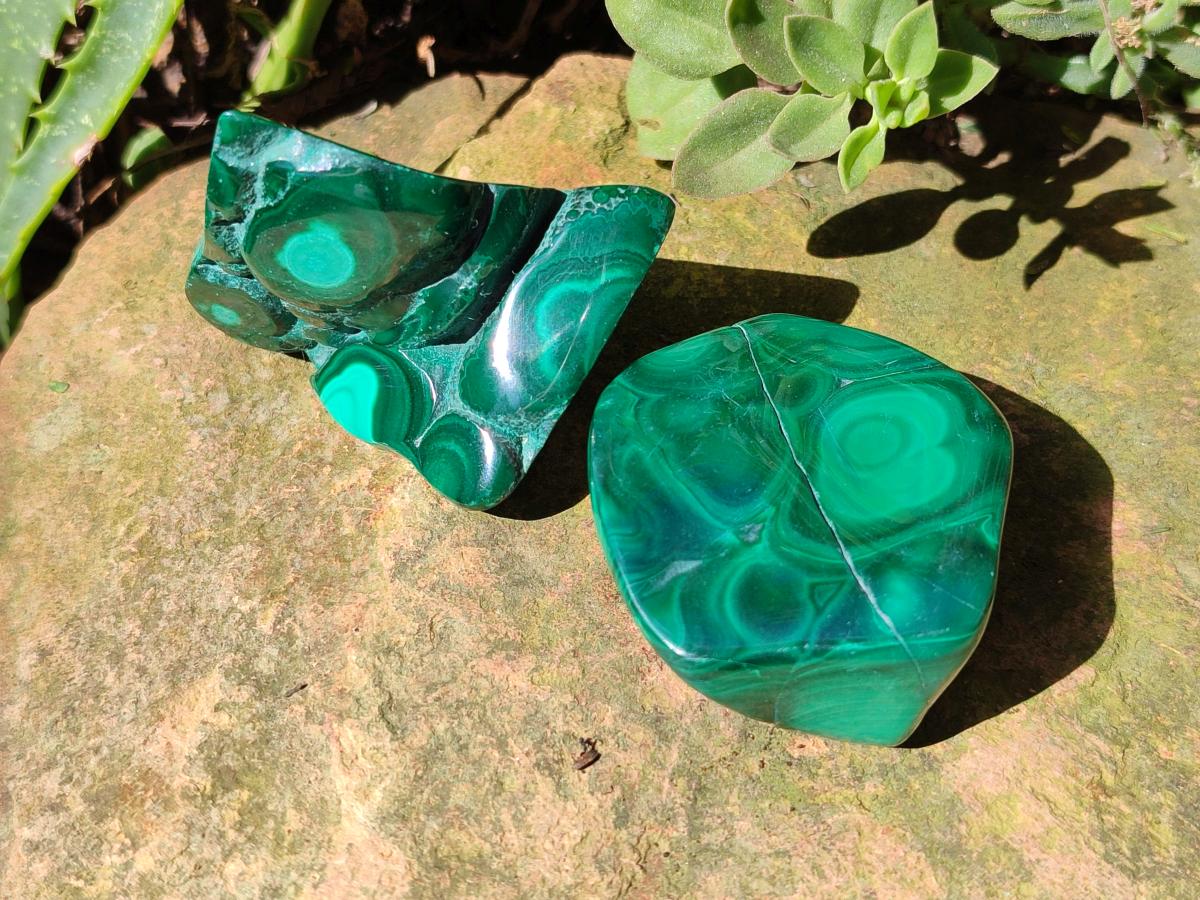 Polished Flower Banded Malachite Free Forms x 20 From Congo - Toprock Gemstones and Minerals 