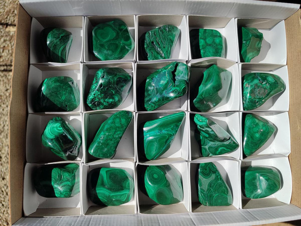 Polished Flower Banded Malachite Free Forms x 20 From Congo - Toprock Gemstones and Minerals 