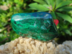 Polished Flower Banded Malachite Free Forms x 20 From Congo - Toprock Gemstones and Minerals 