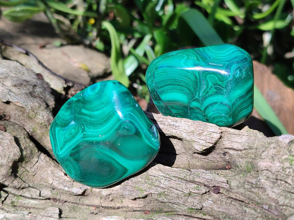 Polished Flower Banded Malachite Free Forms x 20 From Congo - Toprock Gemstones and Minerals 