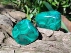 Polished Flower Banded Malachite Free Forms x 20 From Congo - Toprock Gemstones and Minerals 