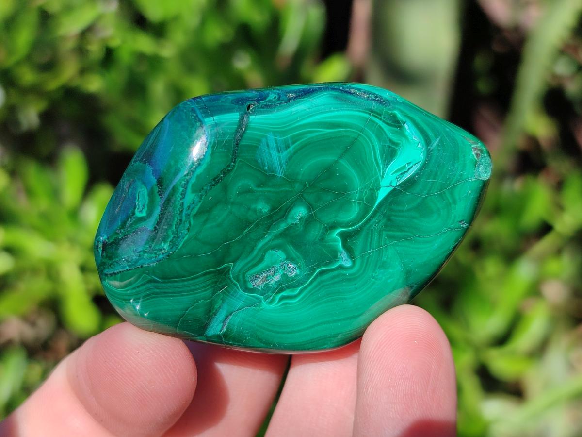 Polished Flower Banded Malachite Free Forms x 20 From Congo - Toprock Gemstones and Minerals 