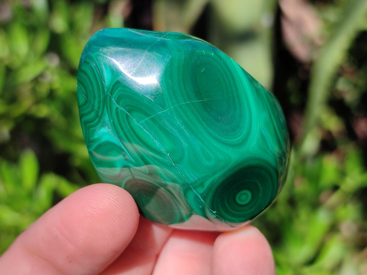 Polished Flower Banded Malachite Free Forms x 20 From Congo - Toprock Gemstones and Minerals 