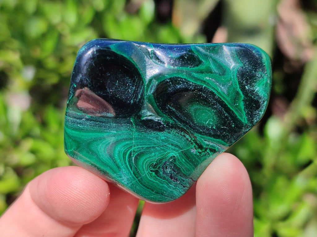 Polished Flower Banded Malachite Free Forms x 20 From Congo - Toprock Gemstones and Minerals 