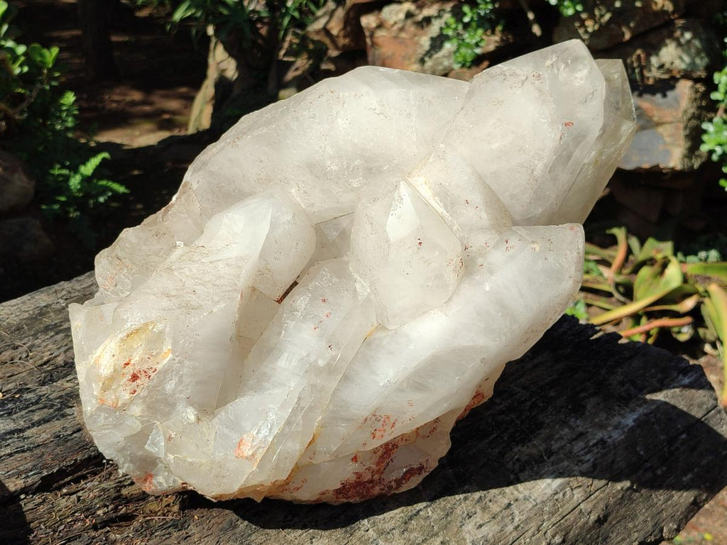 Half Polished XXL Smokey Angolan Quartz Cluster x 1 From Angola - Toprock Gemstones and Minerals 
