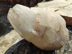 Half Polished XXL Smokey Angolan Quartz Cluster x 1 From Angola - Toprock Gemstones and Minerals 
