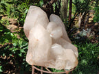 Half Polished XXL Smokey Angolan Quartz Cluster x 1 From Angola - Toprock Gemstones and Minerals 