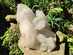 Half Polished XXL Smokey Angolan Quartz Cluster x 1 From Angola - Toprock Gemstones and Minerals 