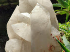 Half Polished XXL Smokey Angolan Quartz Cluster x 1 From Angola - Toprock Gemstones and Minerals 