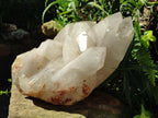 Half Polished XXL Smokey Angolan Quartz Cluster x 1 From Angola - Toprock Gemstones and Minerals 