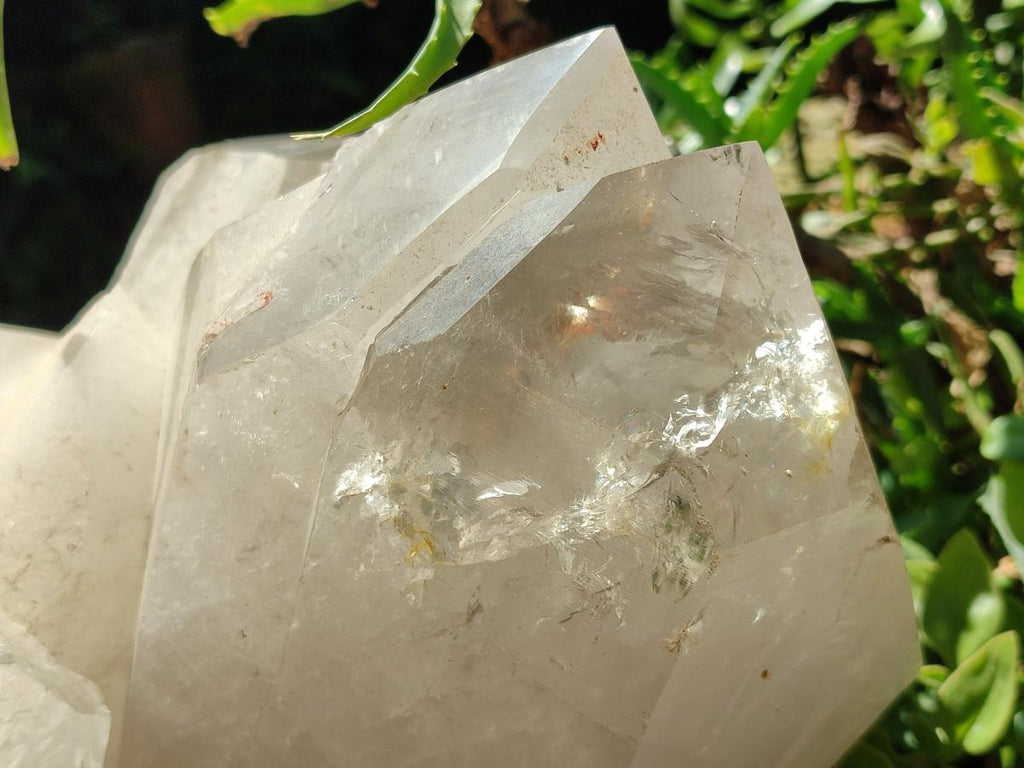 Half Polished XXL Smokey Angolan Quartz Cluster x 1 From Angola - Toprock Gemstones and Minerals 