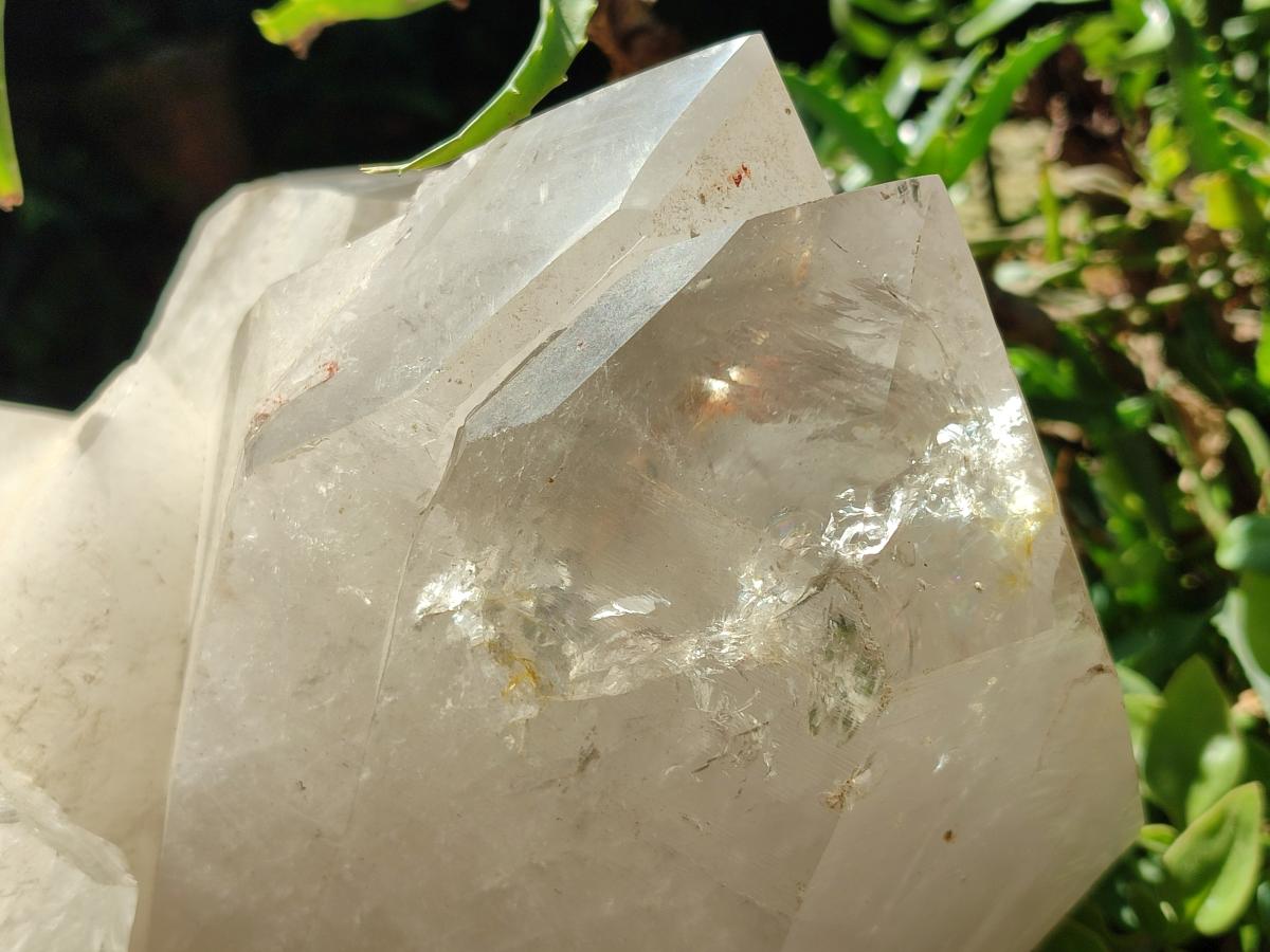 Half Polished XXL Smokey Angolan Quartz Cluster x 1 From Angola - Toprock Gemstones and Minerals 