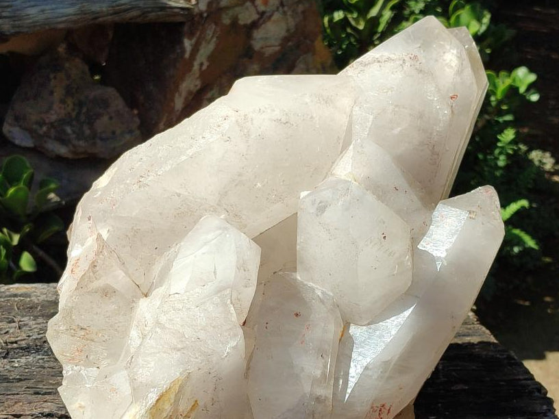 Half Polished XXL Smokey Angolan Quartz Cluster x 1 From Angola - Toprock Gemstones and Minerals 