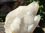 Half Polished XXL Smokey Angolan Quartz Cluster x 1 From Angola - Toprock Gemstones and Minerals 