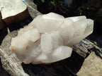 Half Polished XXL Smokey Angolan Quartz Cluster x 1 From Angola - Toprock Gemstones and Minerals 