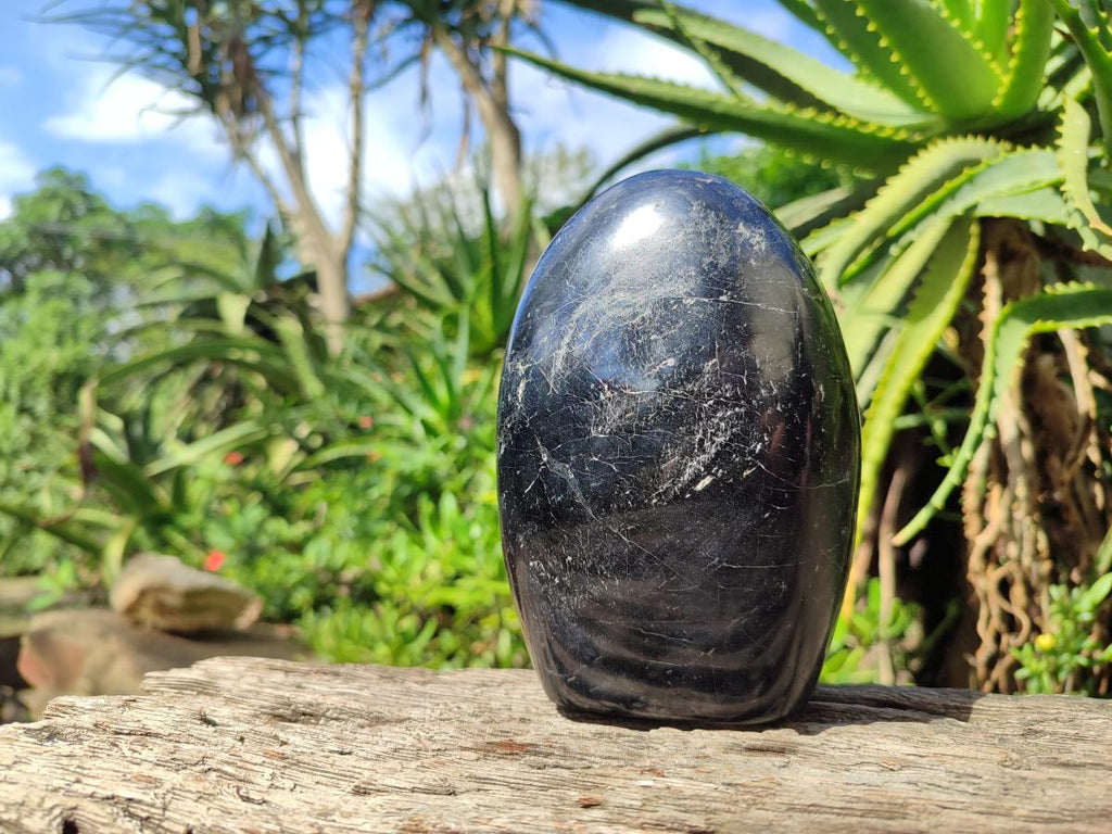 Polished Large Black Tourmaline Standing Free Form x 1 From Madagascar - Toprock Gemstones and Minerals 