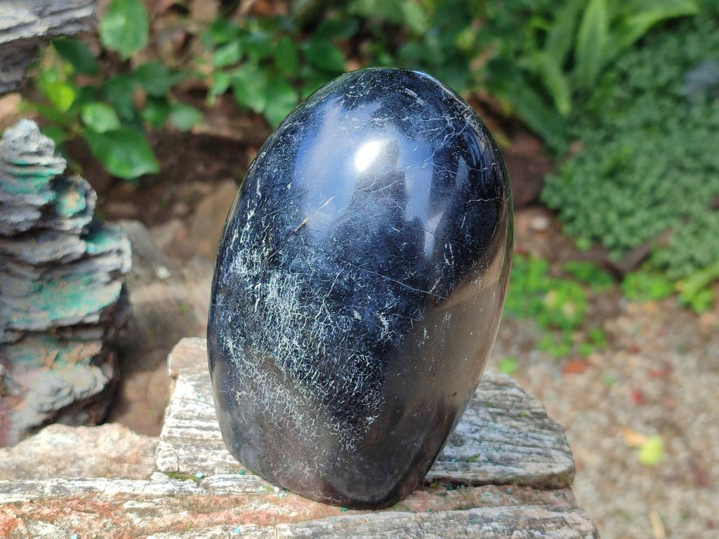 Polished Large Black Tourmaline Standing Free Form x 1 From Madagascar - Toprock Gemstones and Minerals 