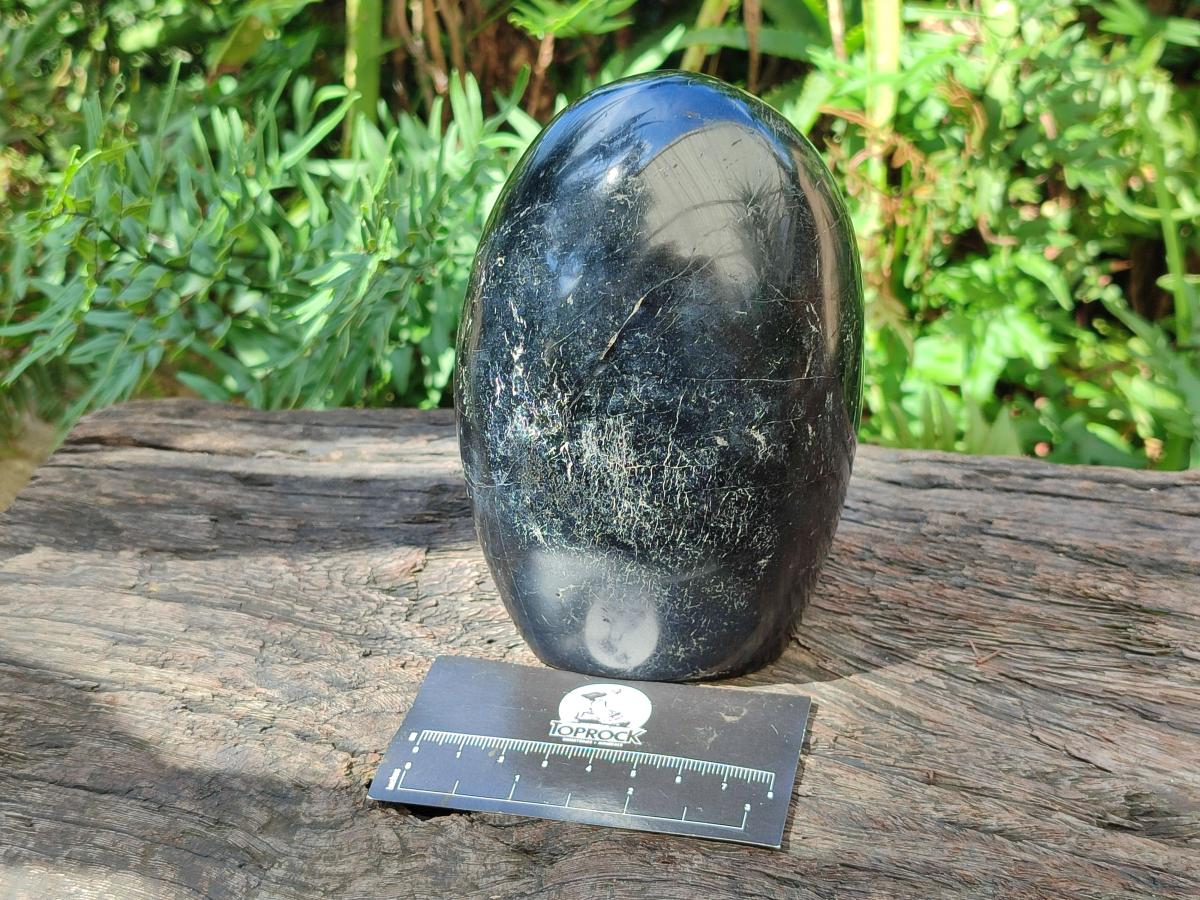 Polished Large Black Tourmaline Standing Free Form x 1 From Madagascar - Toprock Gemstones and Minerals 