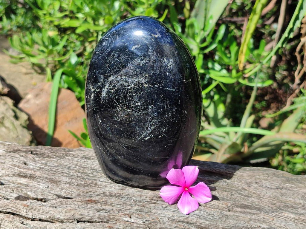 Polished Large Black Tourmaline Standing Free Form x 1 From Madagascar - Toprock Gemstones and Minerals 