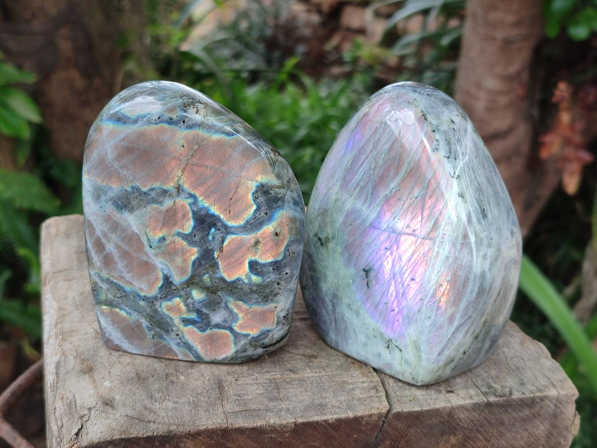 Polished Rare Purple Sunset Flash Labradorite Standing Display Pieces x 2 From Madagascar - Toprock Gemstones and Minerals 