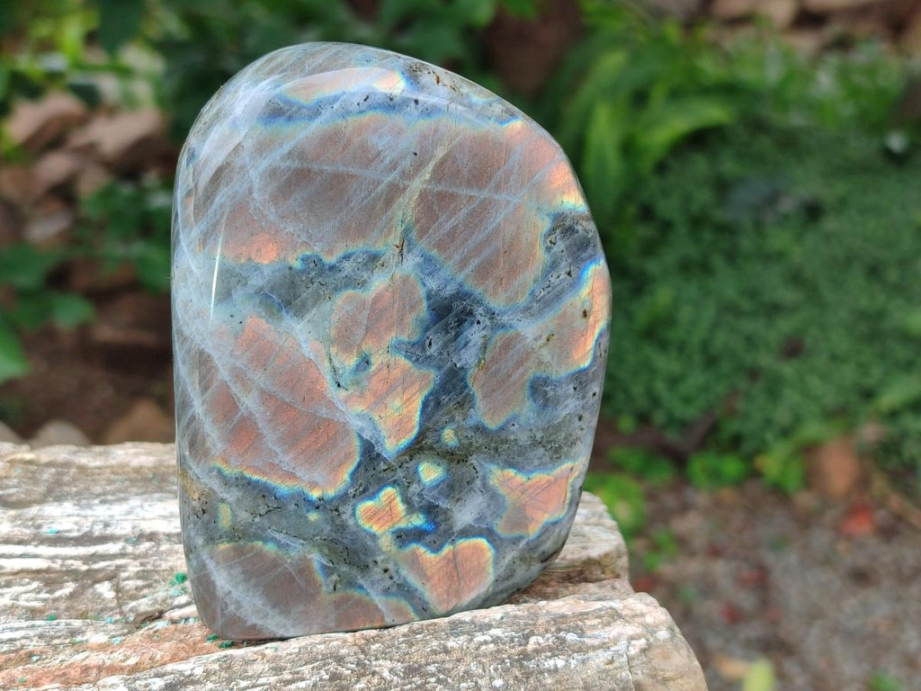 Polished Rare Purple Sunset Flash Labradorite Standing Display Pieces x 2 From Madagascar - Toprock Gemstones and Minerals 