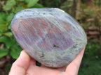 Polished Rare Purple Sunset Flash Labradorite Standing Display Pieces x 2 From Madagascar - Toprock Gemstones and Minerals 